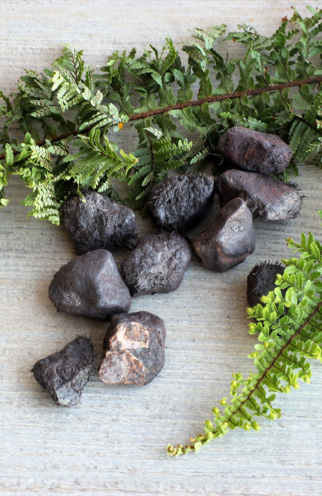 Magnetite (aka Lodestone) Tumbled Stone