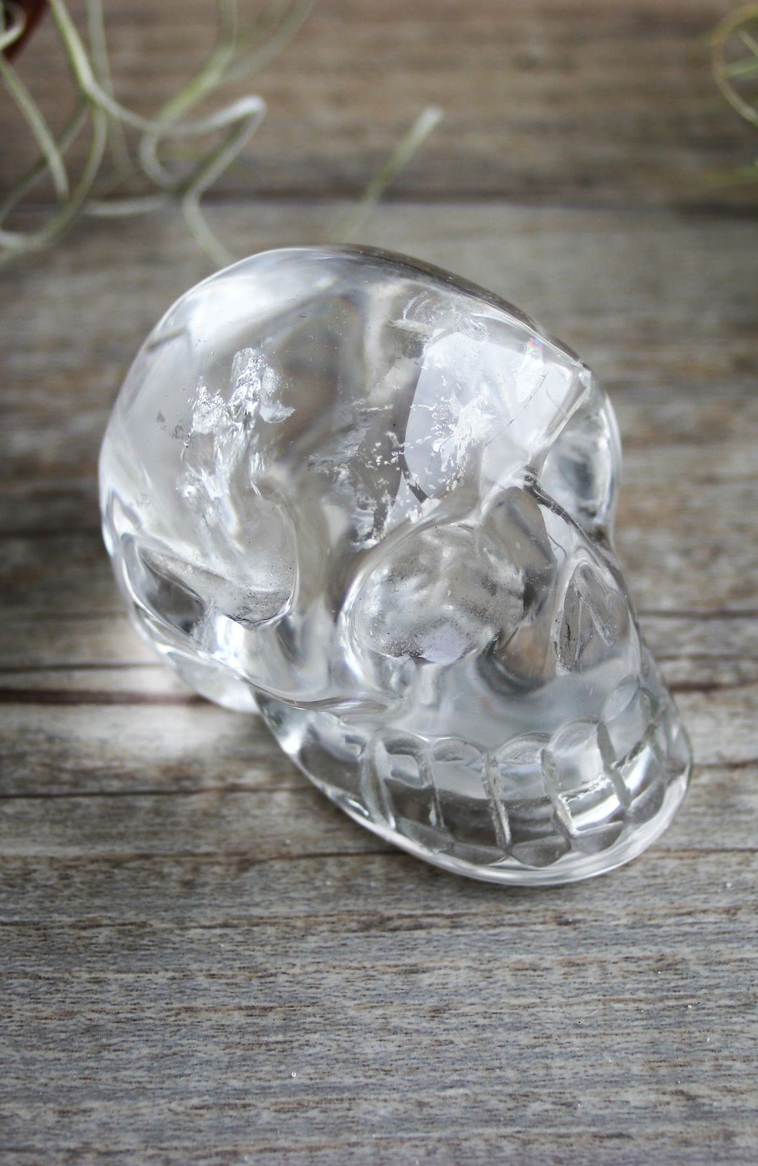 Clear Quartz Skull