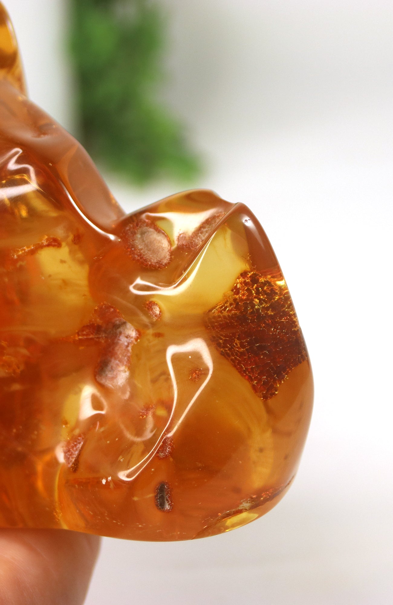Amber Rarest Pieces Amber Piece with insects – The Crystal Lady