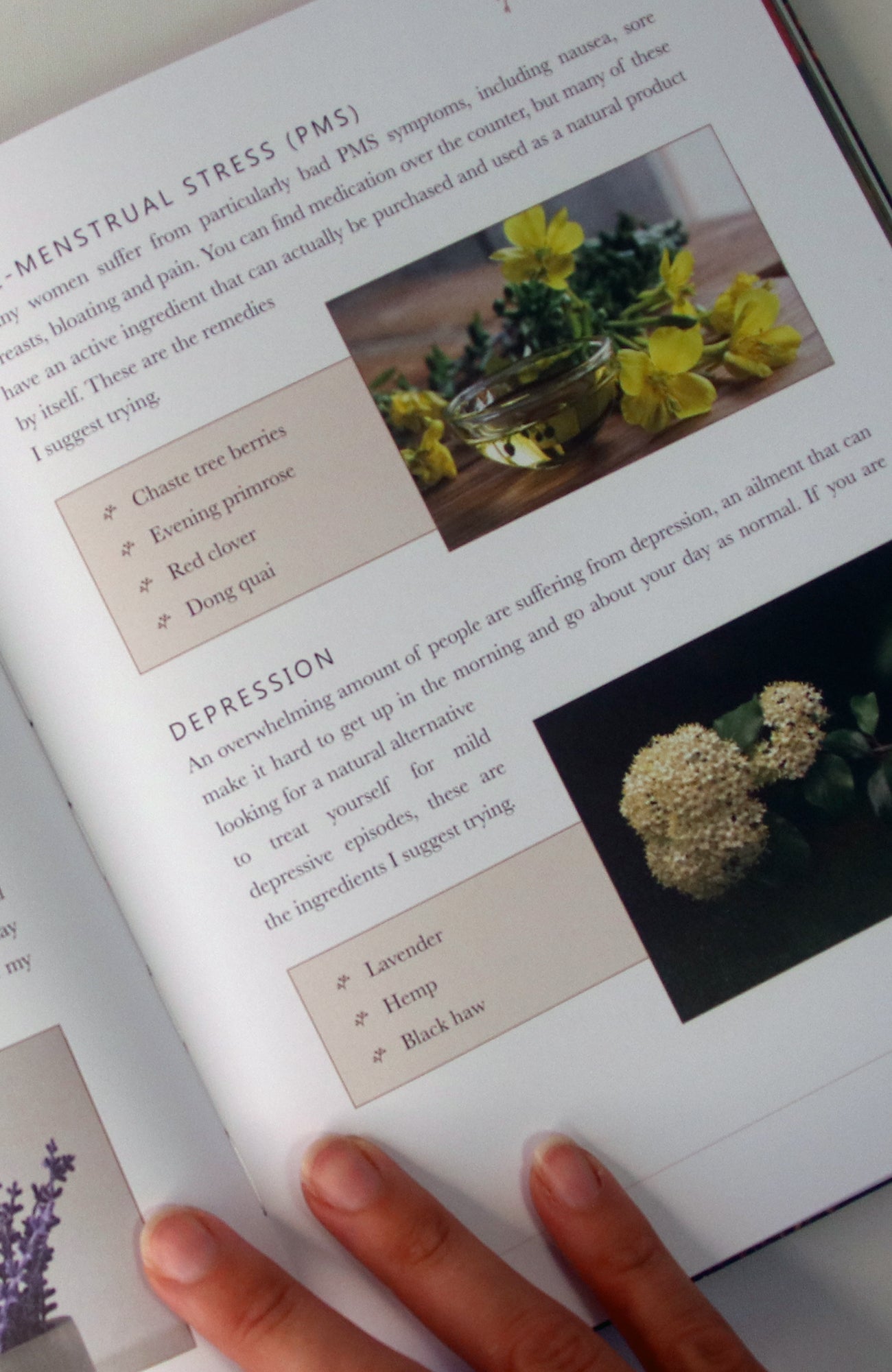 From Earth: A guide to creating a natural apothecary
