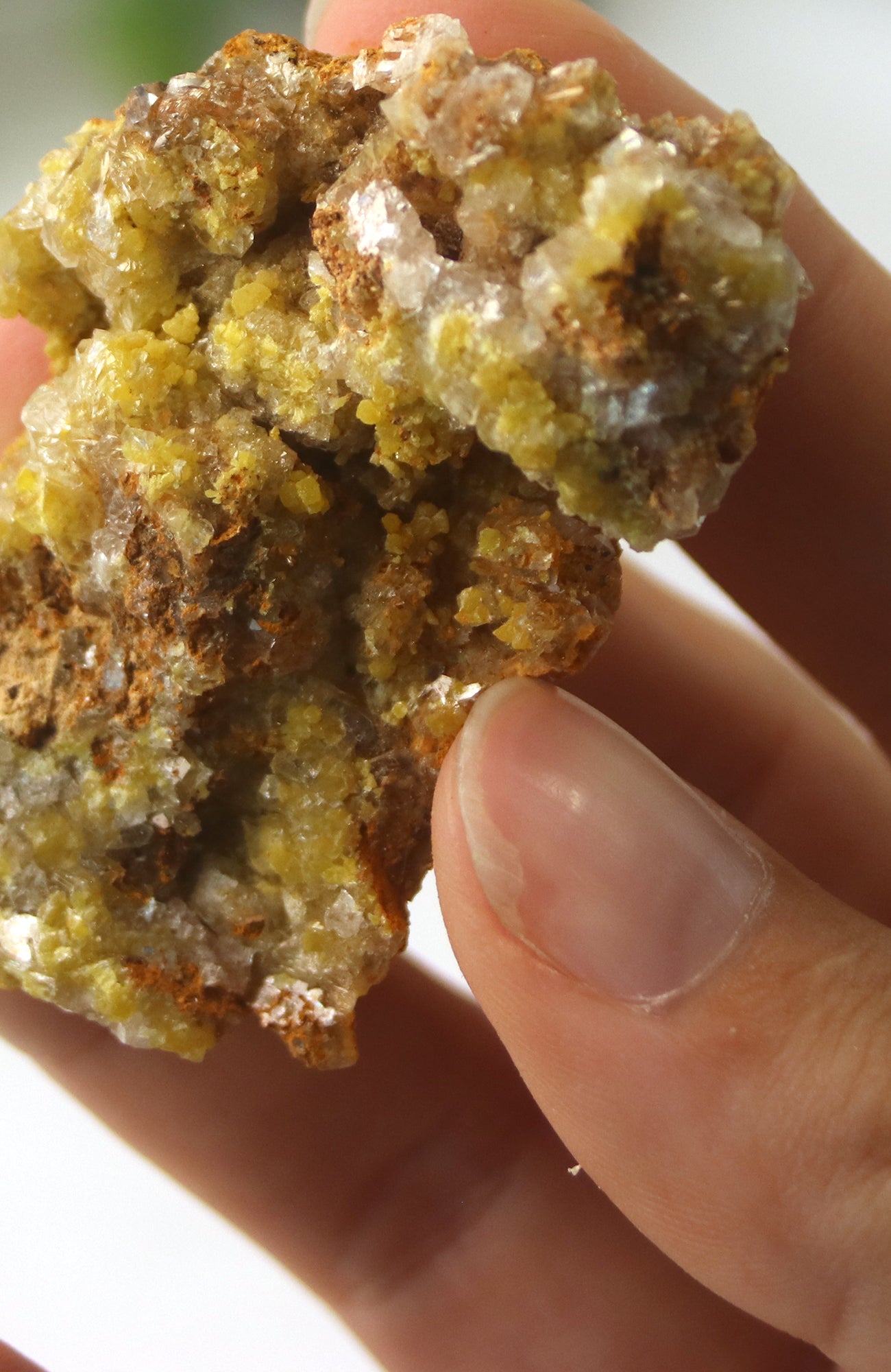 Mimetite Specimen