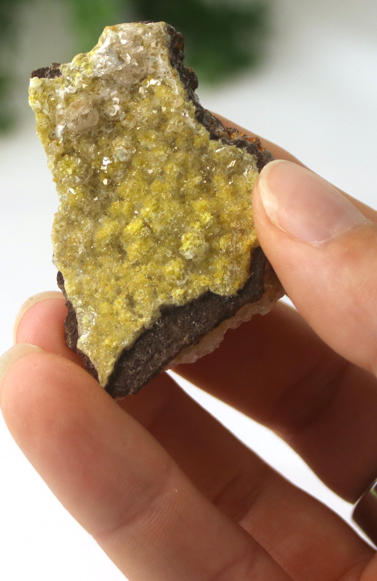 Mimetite Specimen