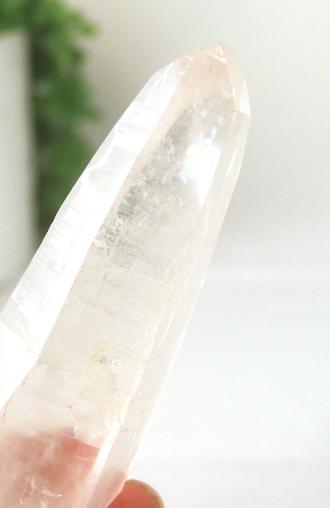 Lemurian Seed Crystal