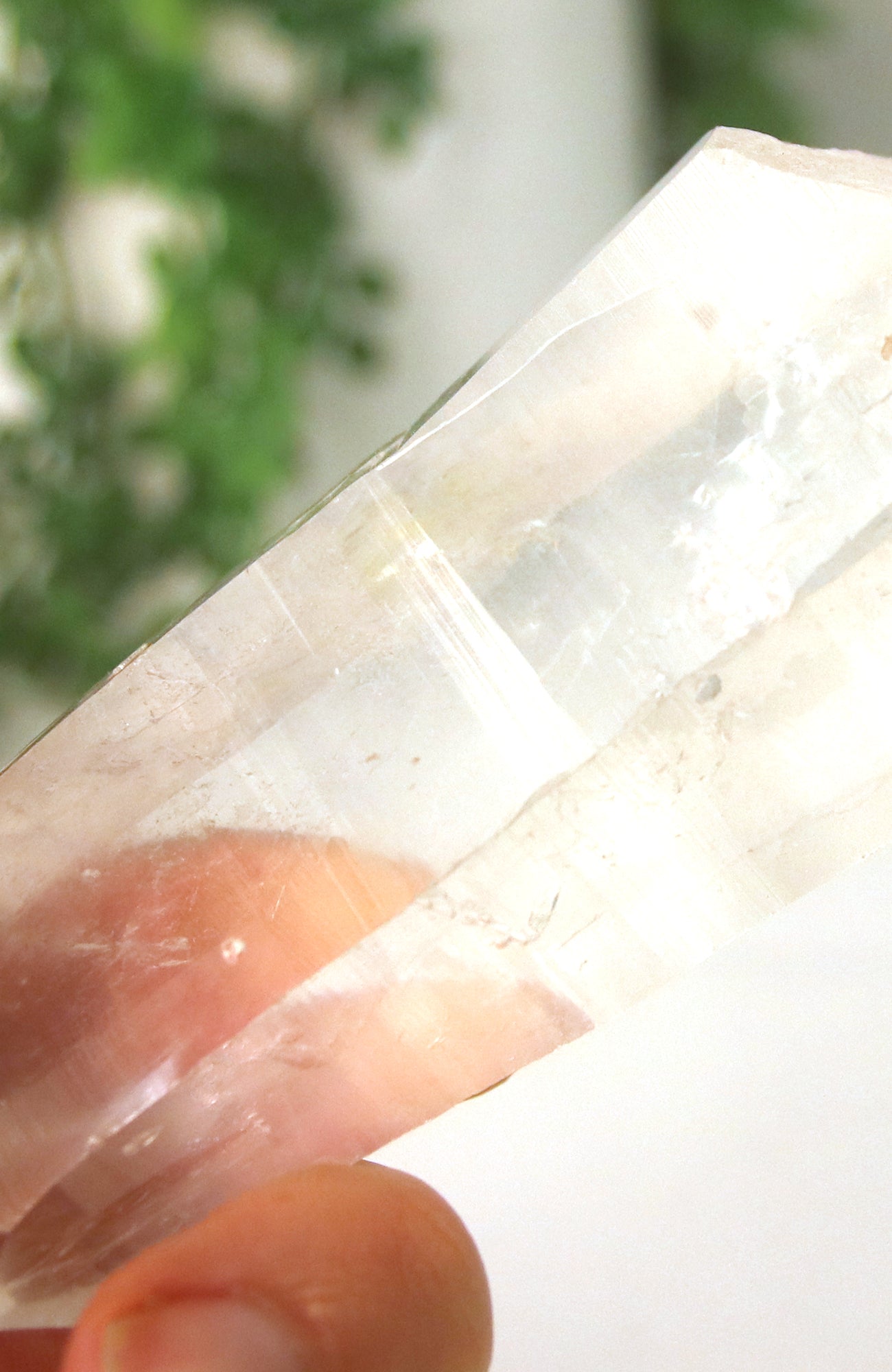 Lemurian Seed Crystal