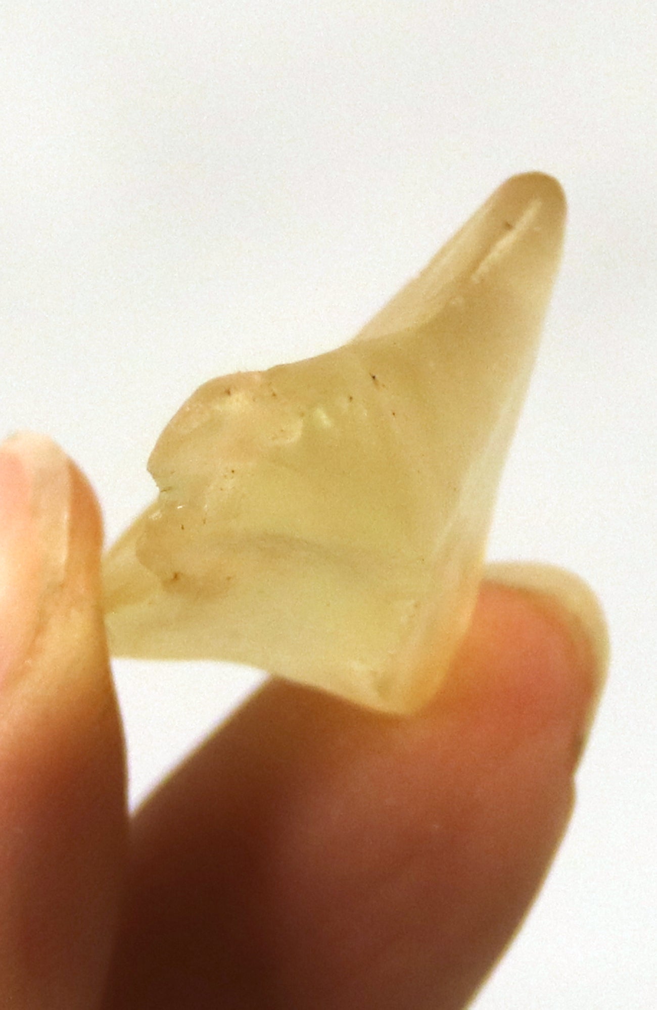 Libyan Gold Tektite