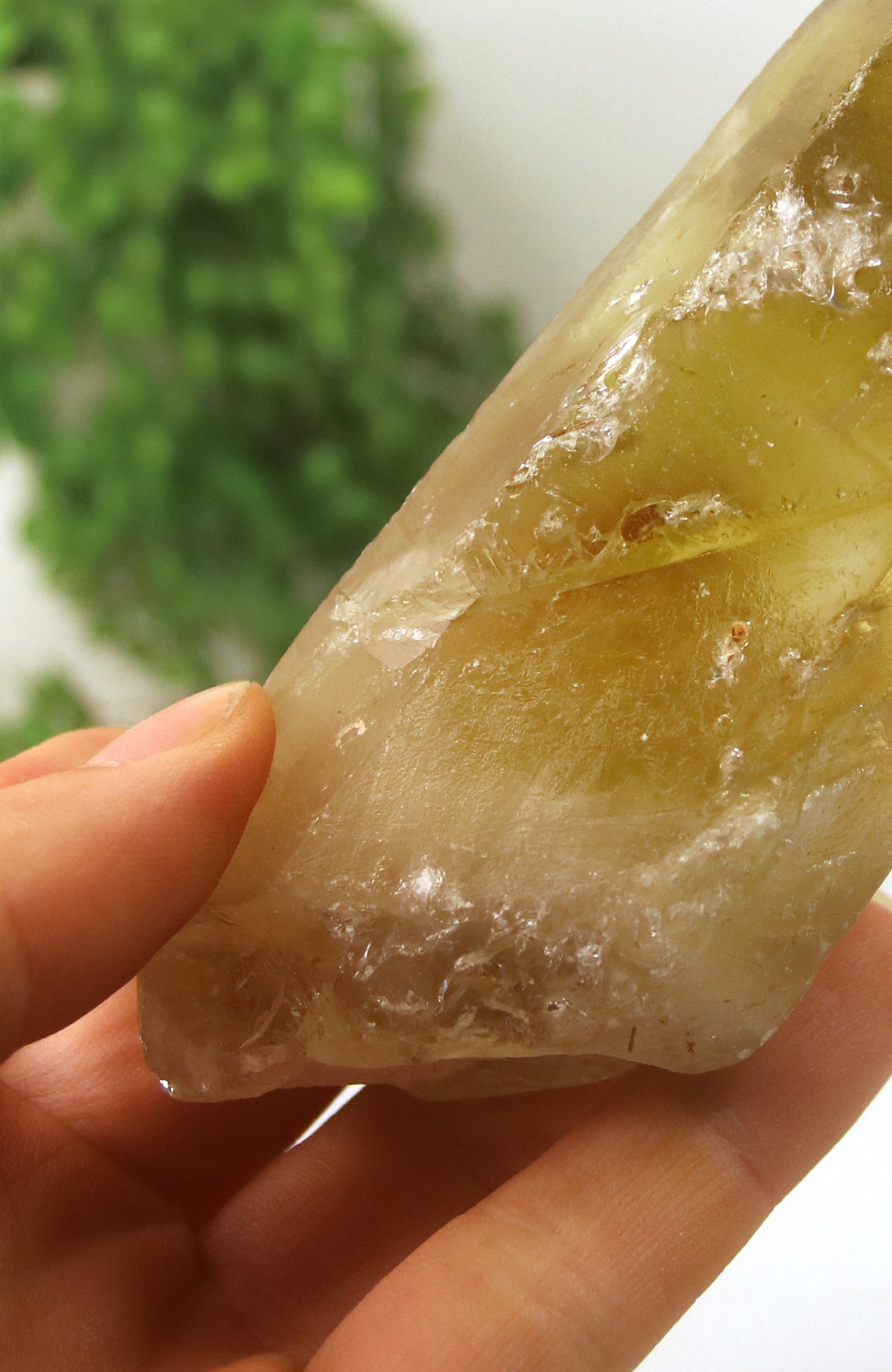 Smoky Citrine Lemurian Seed Crystal from Gobi Desert