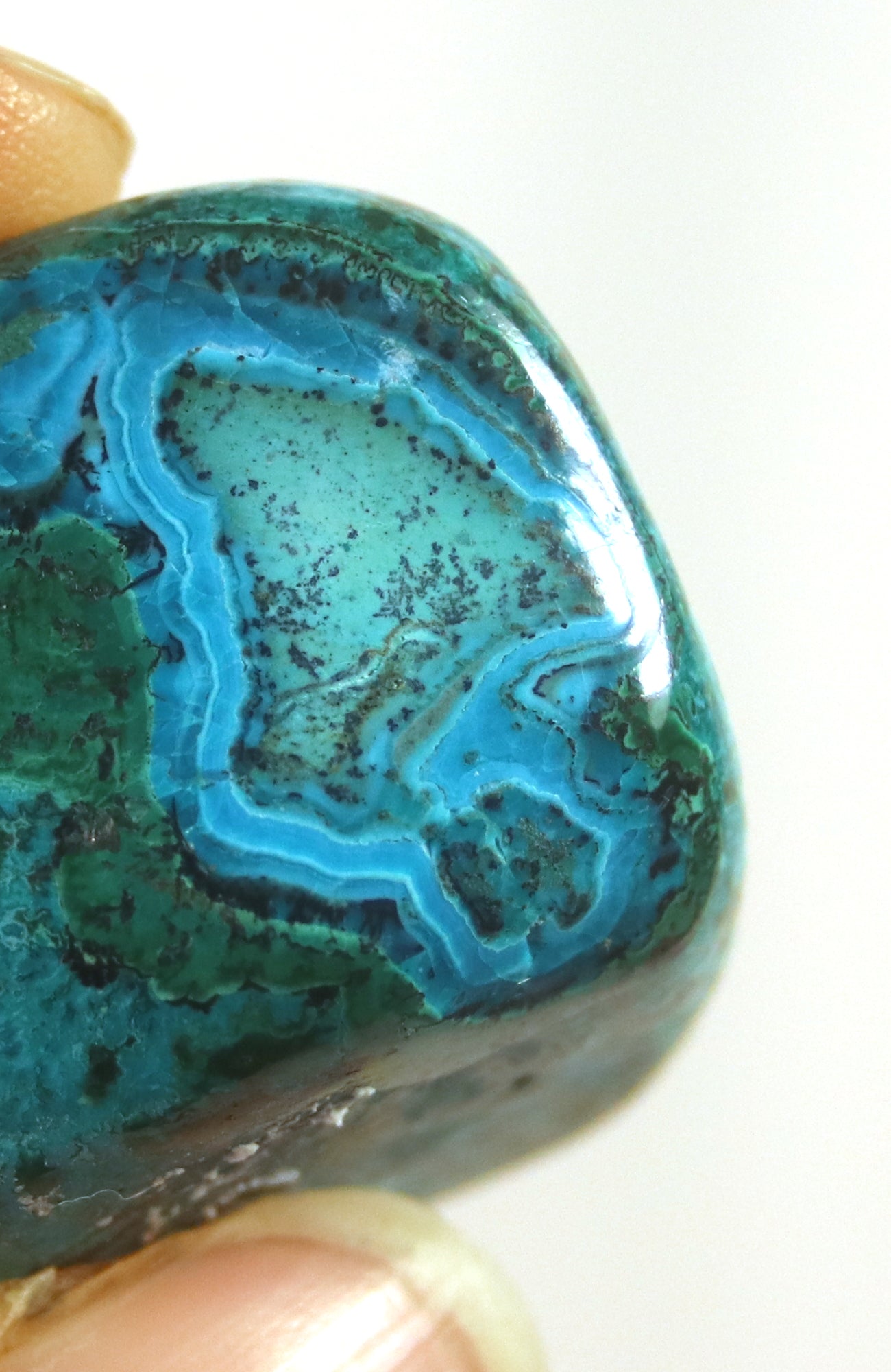 Malacolla (Chrysocolla with Malachite)