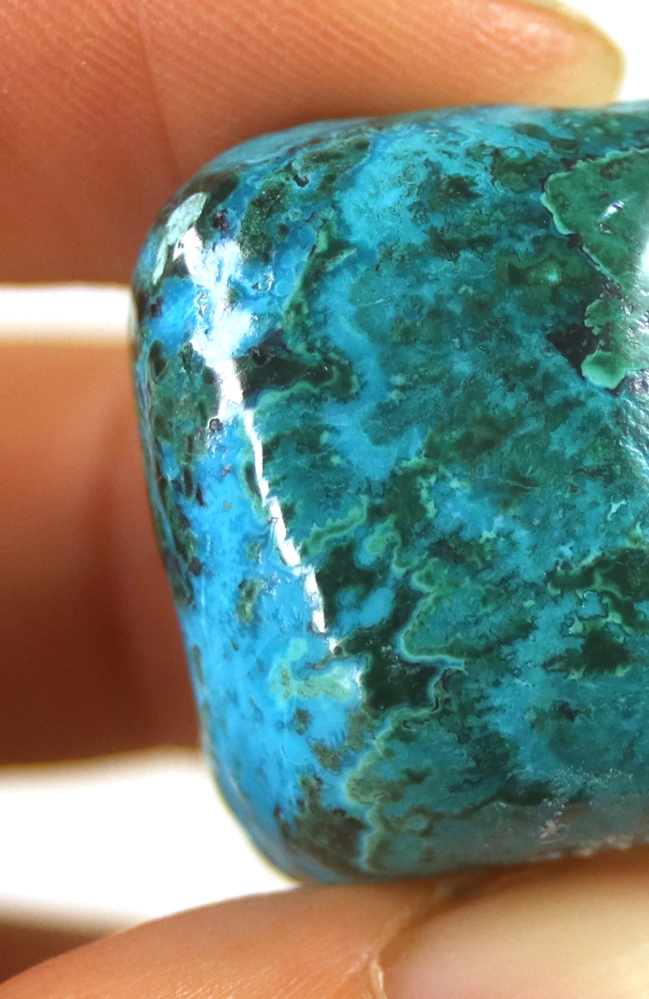 Malacolla (Chrysocolla with Malachite)