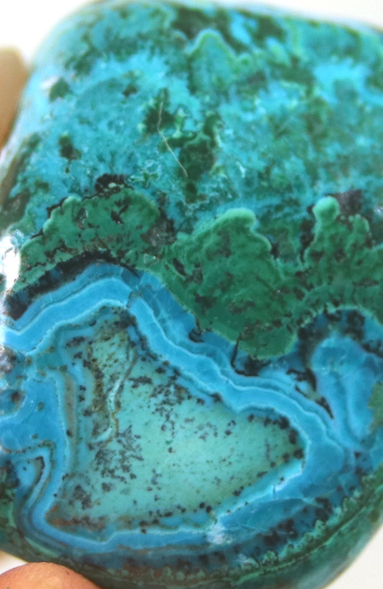 Malacolla (Chrysocolla with Malachite)