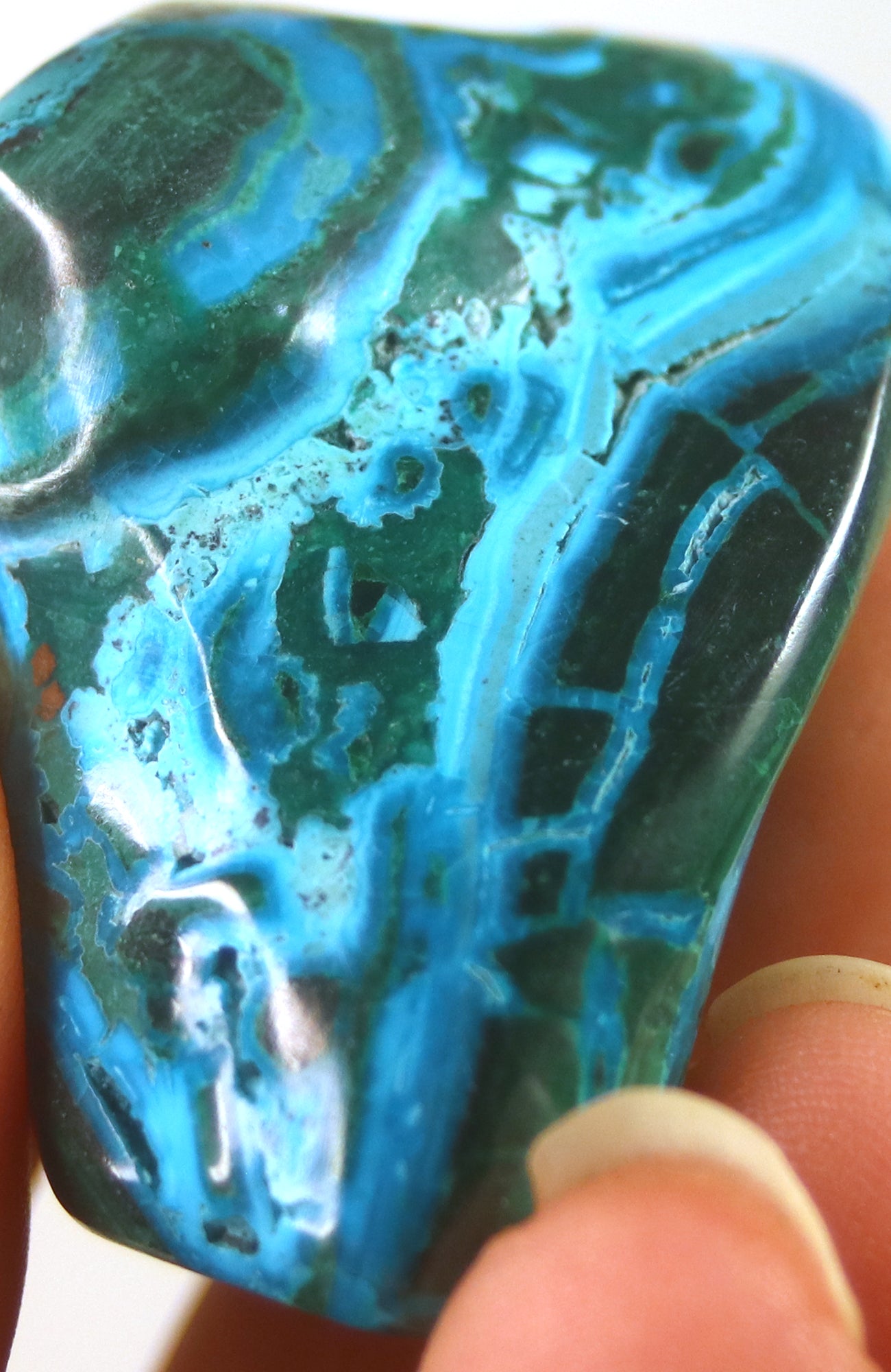 Malacolla (Chrysocolla with Malachite)