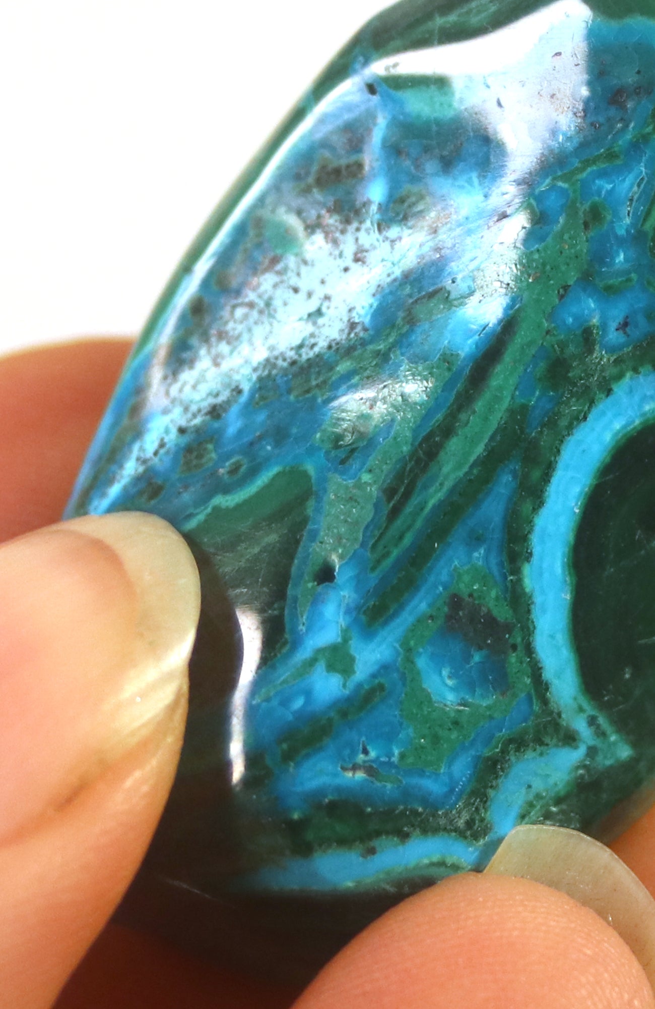 Malacolla (Chrysocolla with Malachite)